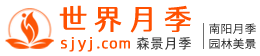 世界月季网 世界月季网