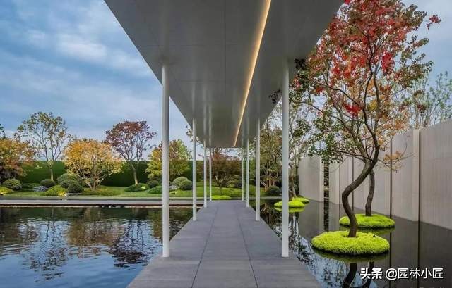 金叶佛甲草在园林景观中的应用(图3)