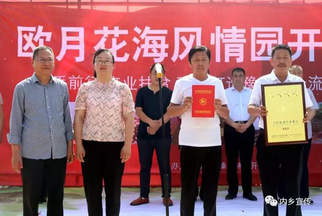 游玩好去处！内乡县灌涨镇欧月花海风情园盛妆开园(图6)