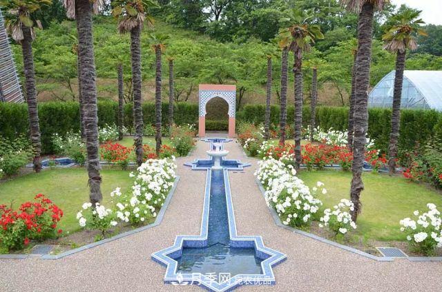 走进世界最大月季园，近7000个品种，30000棵月季……(图17)