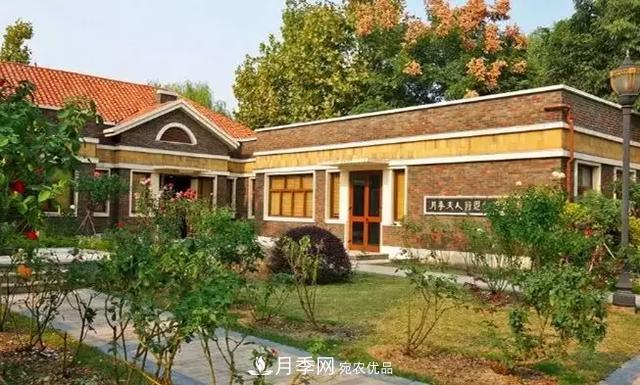 蒋恩钿带领中国月季走向世界，被称为月季夫人(图2)