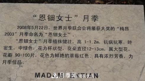 蒋恩钿带领中国月季走向世界，被称为月季夫人(图5)