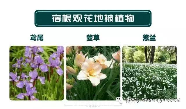 苗木必备基本常识手册(图12)