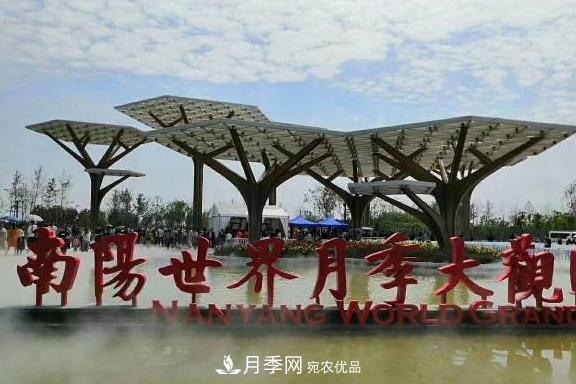 南阳世界月季大观园：只爱园中月季美，不羡他乡百花艳(图1)