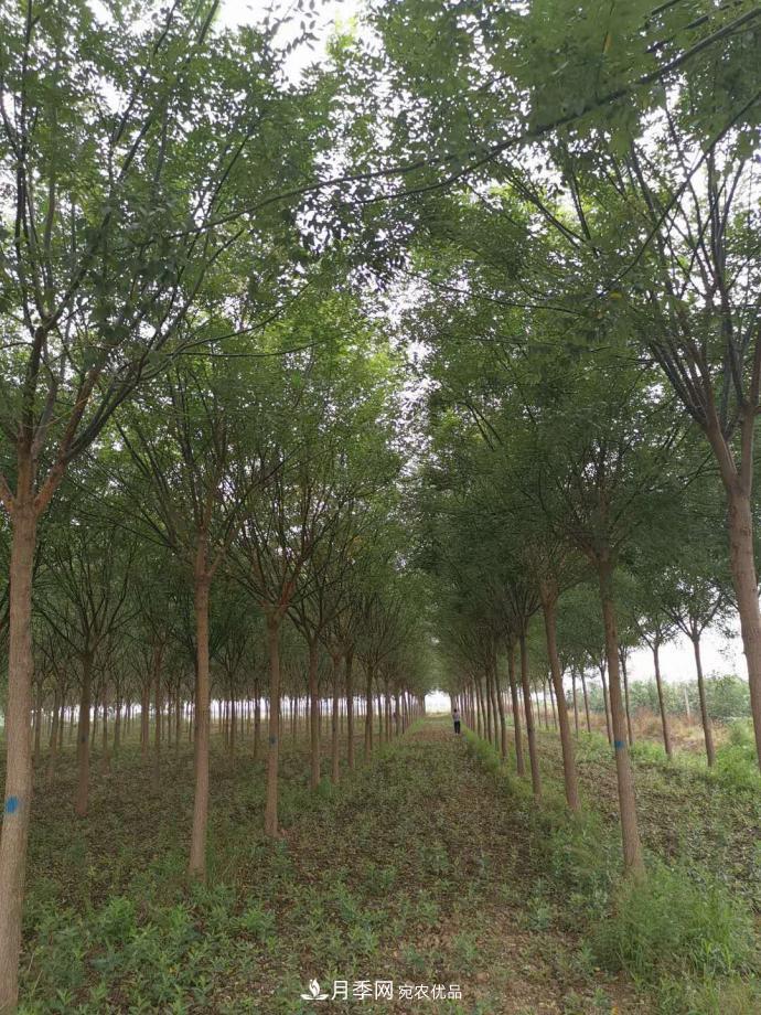 浙江滕头园林今年做了两件事，第二件将为你省一大笔钱！(图1)