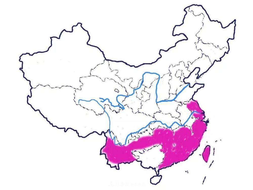 月季的前世今生：假如中国月季没有传入欧洲(图13)