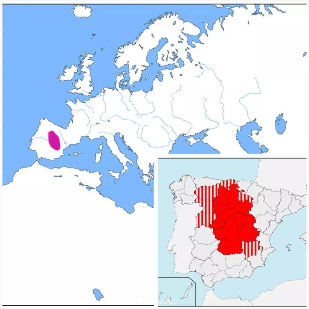月季的前世今生：假如中国月季没有传入欧洲(图28)