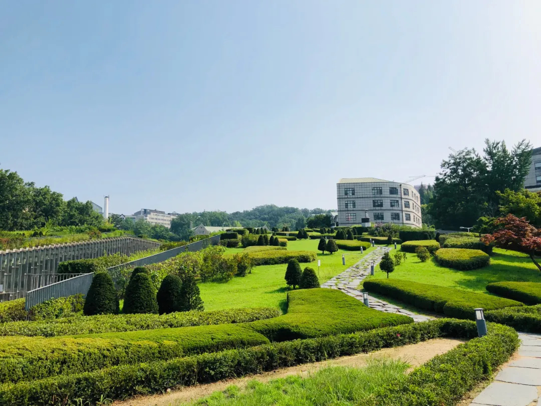 这种高颜值、高利润的苗木，竟然缺点不少(图5)