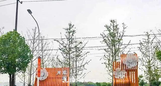 上海松江10万平方米月季小镇9月底完工，十一等你来打卡(图2)