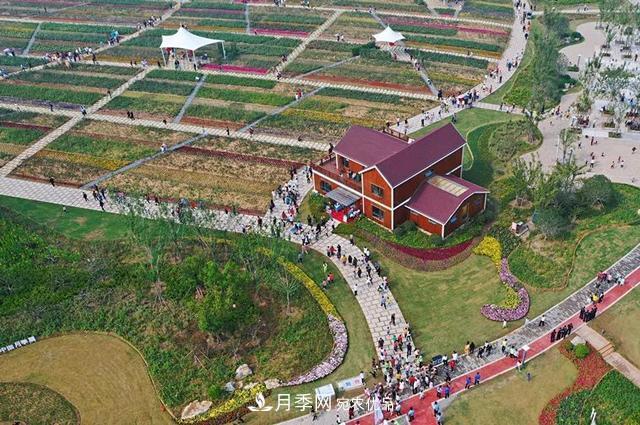 月季产业国家创新联盟成立大会在安徽阜阳召开(图3) 月季产业国家创新联盟(图2)