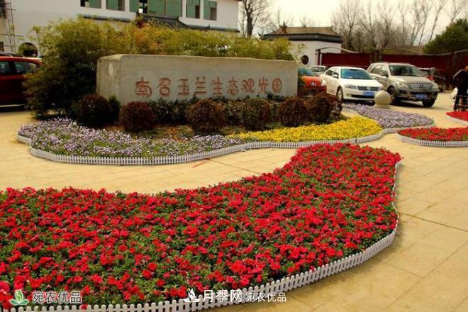 南召玉兰生态观光园(图2)