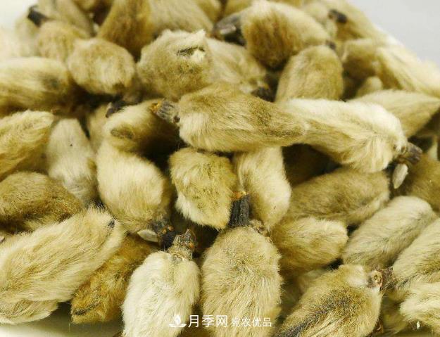 南阳市创建中药材种植示范基地(图2)