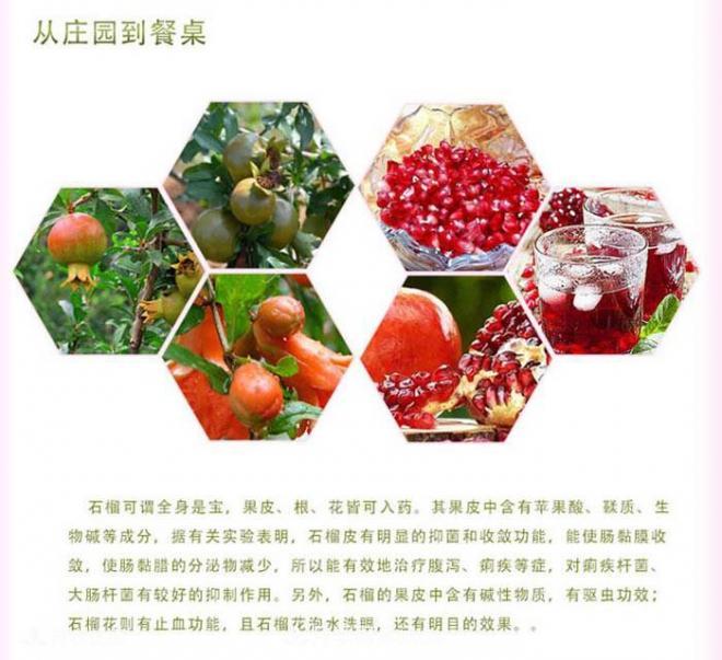 淅川突尼斯软籽石榴基地批发价格,好水果有宛农(图2) 淅川突尼斯软籽石榴基地批发价格,好水果(图2)