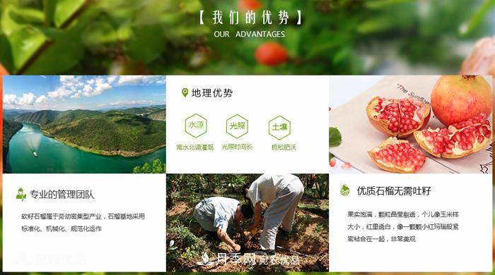 淅川突尼斯软籽石榴基地批发价格,好水果有宛农(图4) 淅川突尼斯软籽石榴基地批发价格,好水果(图4)