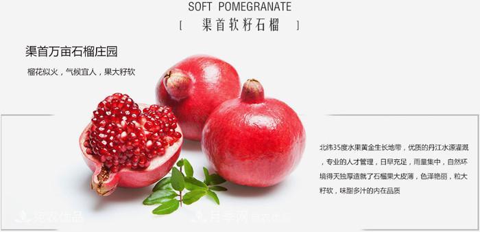 淅川突尼斯软籽石榴基地批发价格,好水果有宛农(图3) 淅川突尼斯软籽石榴基地批发价格,好水果(图3)