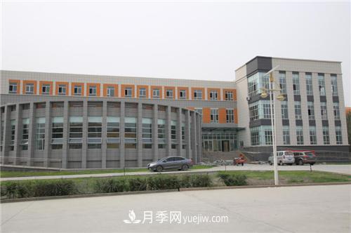 河北保定的“月季花”盛开在新疆巴州(图2)