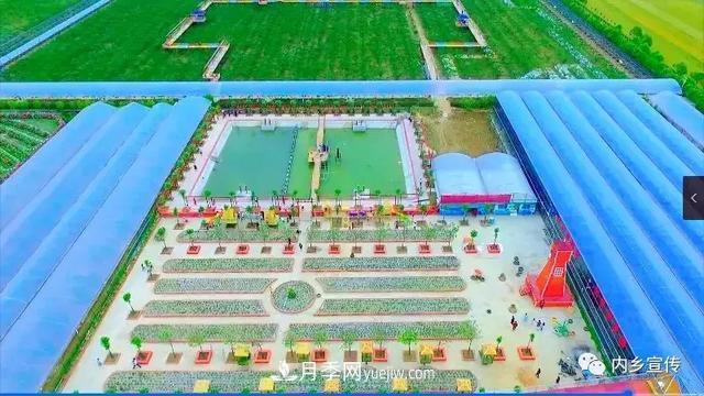 游玩好去处！内乡县灌涨镇欧月花海风情园盛妆开园(图9)