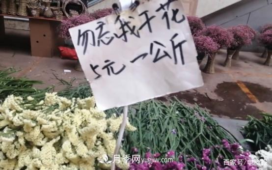 亚洲最大花卉小镇：昆明斗南玫瑰4毛一支，年销70亿！(图3)