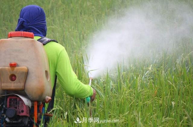 杀虫剂使用过程中不得不知的误区(图1)