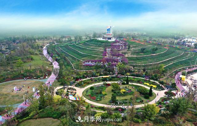 合肥苗交会签约77亿元，合作成果丰硕(图3)