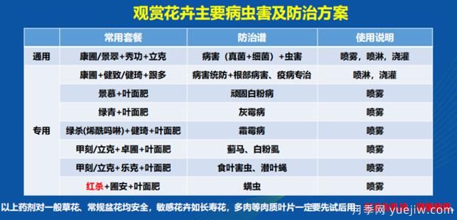 如何提高景观花卉高发虫害的防治效果?(图1) 如何提高景观花卉高发虫害的防治效果?(图1)