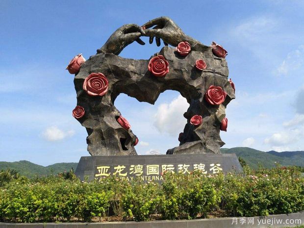 月季园：三亚亚龙湾国际玫瑰谷(图1)