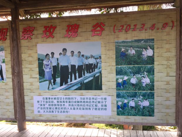 月季园：三亚亚龙湾国际玫瑰谷(图3)