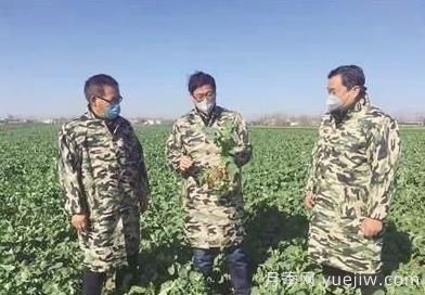 南阳邓州：把精彩人生书写在田野上的冀洪策(图1)