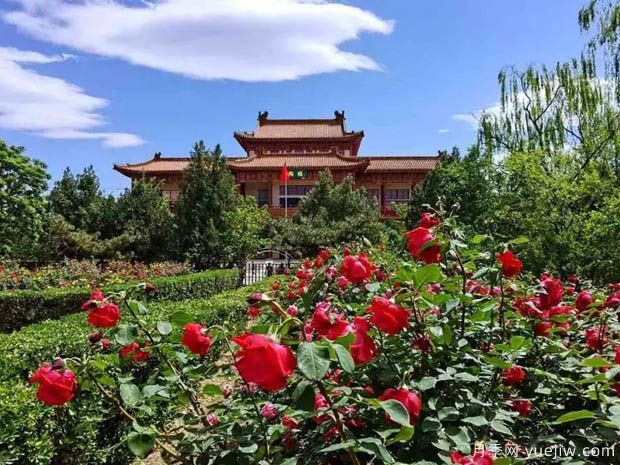 月季园：北京首钢月季园(图1)