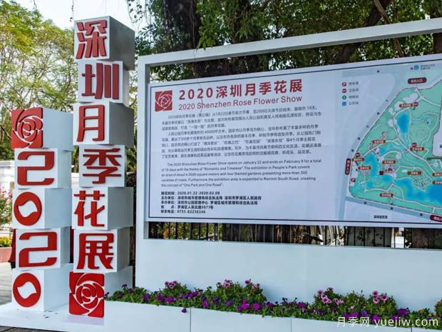 月季园：深圳人民公园月季园(图4)