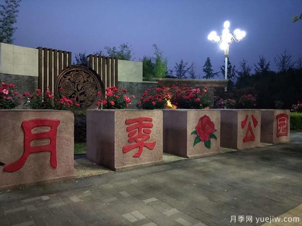 月季园：南阳月季公园(图2)