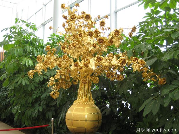 月季园：沈阳世博园玫瑰园(图2)