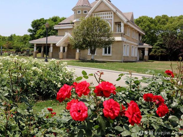 月季名园:太仓恩钿月季公园(图2) 月季园:太仓恩钿月季公园(图2)