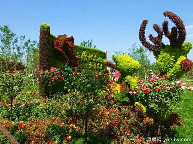 月季园：北京大兴世界月季主题园(图4)