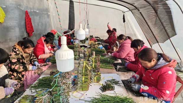 南阳方城:3000巾帼冬季忙 嫁接插花绣明天 (图1) 南阳方城:3000巾帼冬季忙 嫁接插花绣明天 (图1)