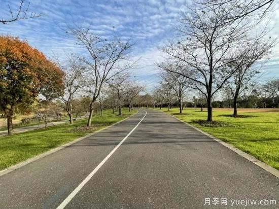 冬季草坪保持常绿的技术措施(图2) 冬季草坪保持常绿的技术措施(图2)