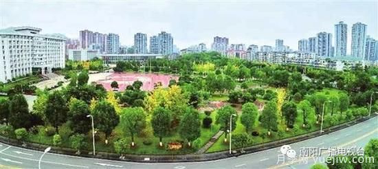 百万月季进城,南阳全力以赴创建国家生态园林城市(图3) 百万月季进城,南阳全力以赴创建国家生态园林城市(图3)