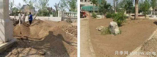 最全常用草坪品种和施工要点(图10) 最全常用草坪品种、优点缺点和施工要点(图10)