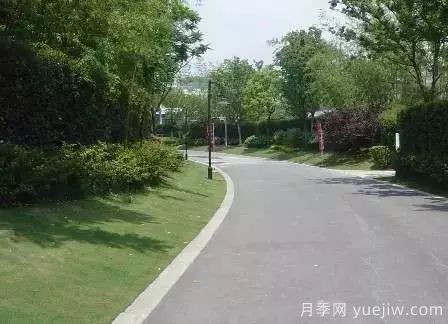 最全常用草坪品种和施工要点(图16) 最全常用草坪品种、优点缺点和施工要点(图16)