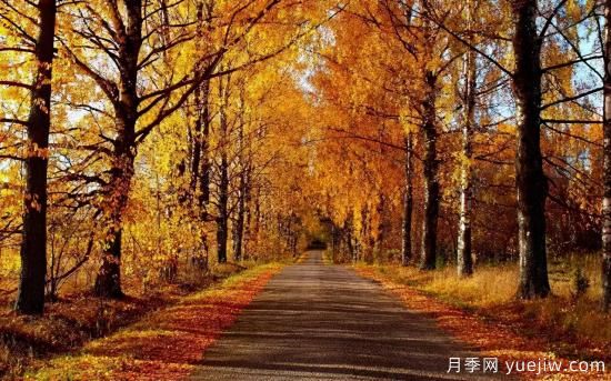 12个月份的园林设计与养护技术要点(图7)