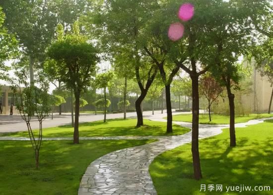 12个月份的园林设计与养护技术要点(图5)