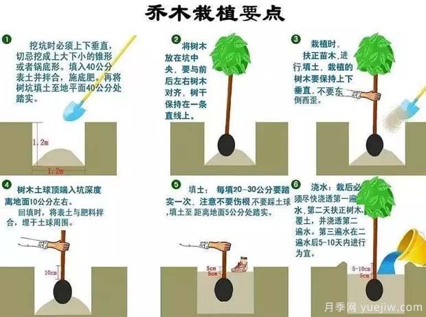 市政道路景观规划设计的主要手法18个问题(图1) 市政道路景观规划设计的主要手法18个问题(图1)