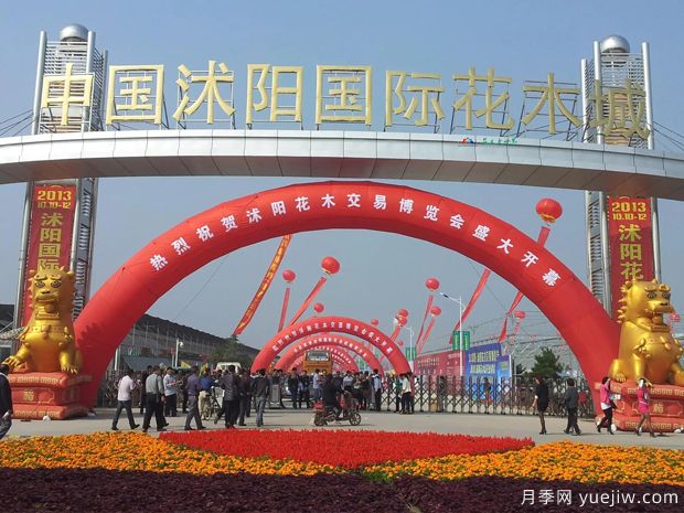 花木城:江苏沭阳国际花木城(图1) 花木城:江苏沭阳国际花木城(图1)
