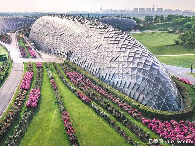 上海辰山植物园月季园获世界优秀月季园称号(图3)