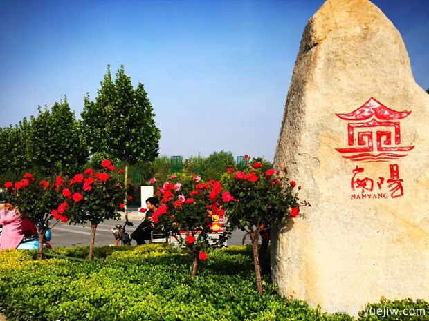 推广南阳月季,面向全国发展(图2) 推广南阳月季,面向全国发展(图2)