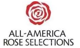 全美月季优选奖(AARS)(图1) 全美月季优选奖(AARS)(图1)