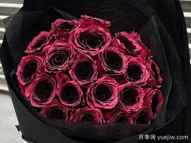 古董紫水晶玫瑰/复古水晶月季(图1) 古董紫水晶玫瑰/复古水晶月季(图1)