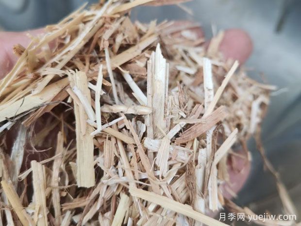 秸秆的分类和属性(图1)