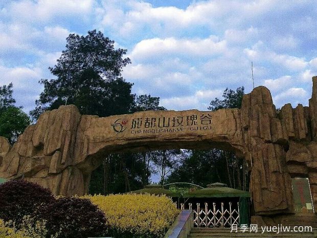 月季园：达州成都山花纤谷玫瑰园(图3)