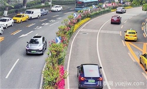 重庆渝中区多彩月季扮靓街头 花团锦簇引人入胜(图1) 重庆渝中区多彩月季扮靓街头 花团锦簇引人入胜(图1)